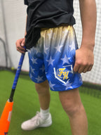 Person wearing blue shorts with white star pattern and logo, holding a baseball bat on a green field.